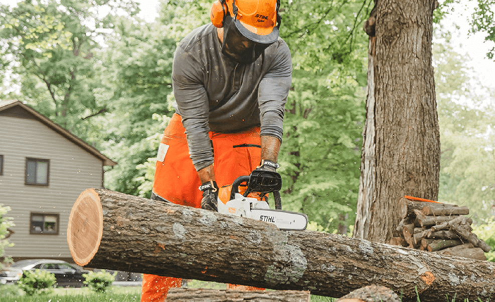 Picking the Perfect Chainsaw_ Your Cutting-edge Guide