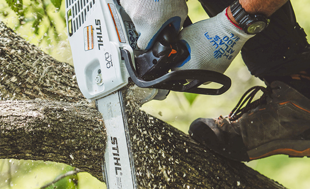 Gas Chainsaw Buyers Guide How to Choose the Right One